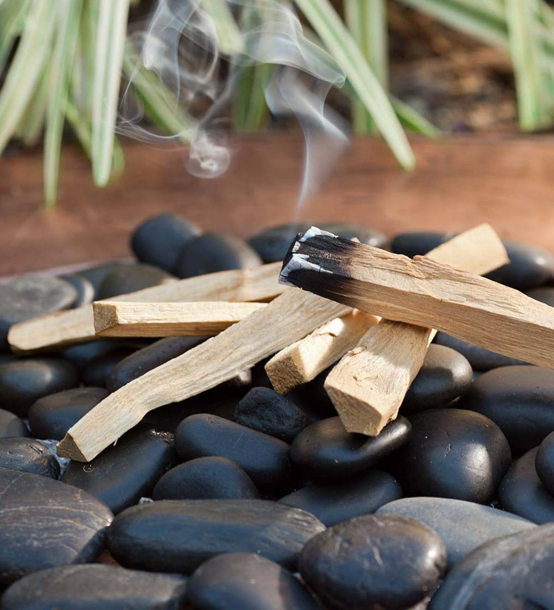 Palo Santo